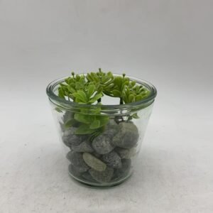 green plants10.5*7.5 650g