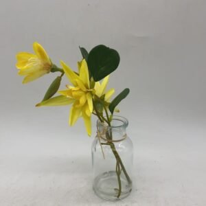 green plants6*21.5 139g