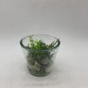 green plants11*10 664g