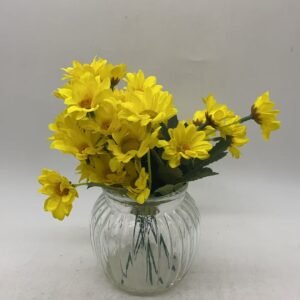 green plants11*21.5 282g