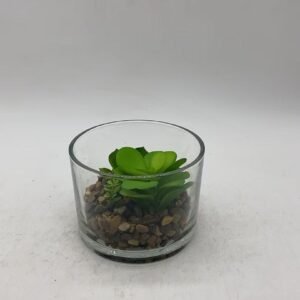 green plants10.5*7.5 650g
