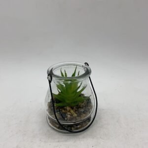 green plants8.5*9.5 452g