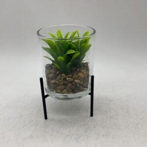 green plants单8.5*10 整体14.5 553g