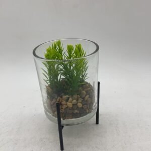 green plants单8.5*10 整体14 552g