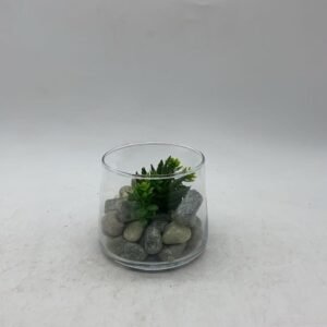 green plants9.5*8 497g