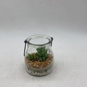 green plants8.5*9.5 456g